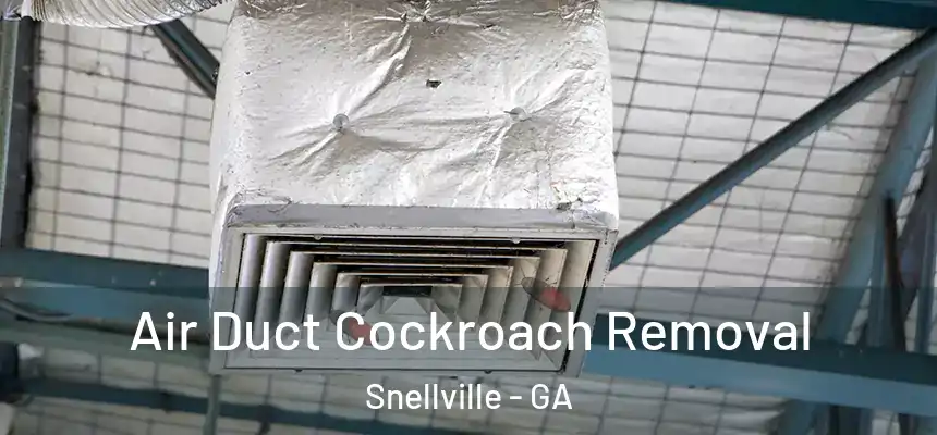  Air Duct Cockroach Removal Snellville - GA
