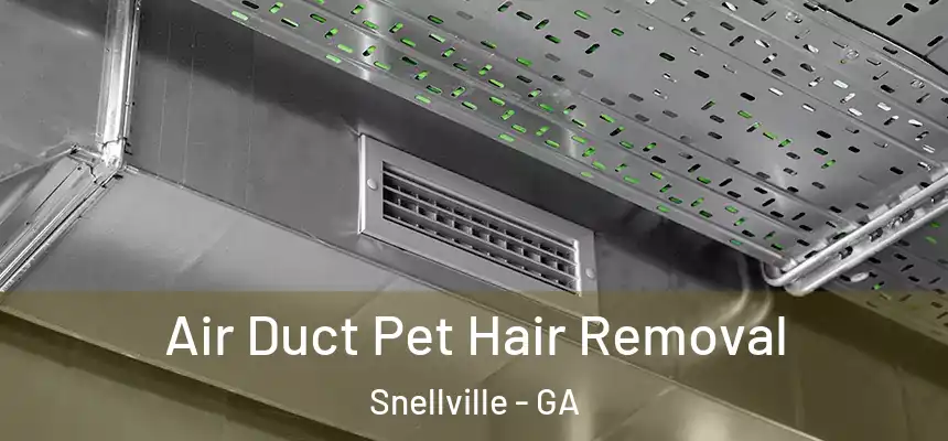  Air Duct Pet Hair Removal Snellville - GA