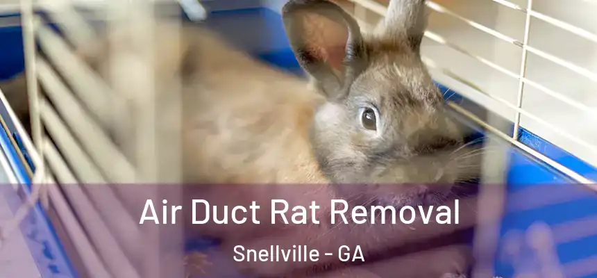  Air Duct Rat Removal Snellville - GA