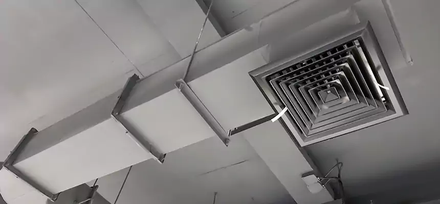 Our Pest Removal From Ducts Services in Snellville, GA