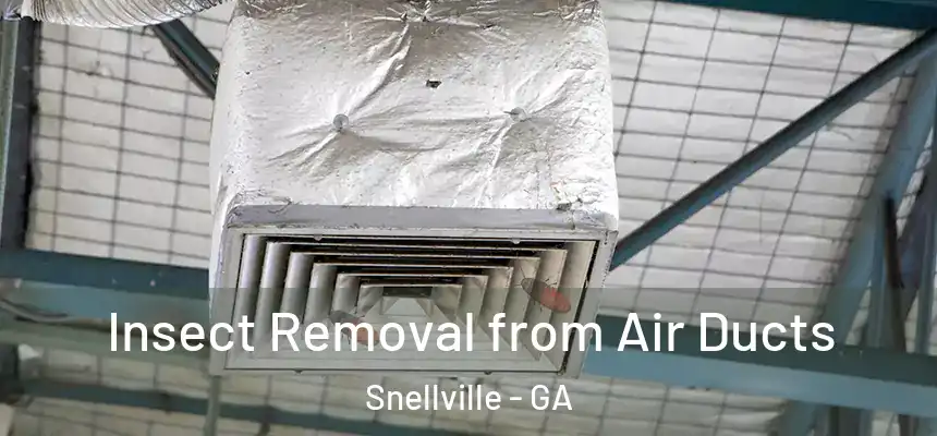  Insect Removal from Air Ducts Snellville - GA
