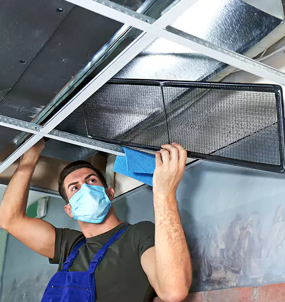 Professional Air Duct Pollen Cleaning in Snellville, GA
