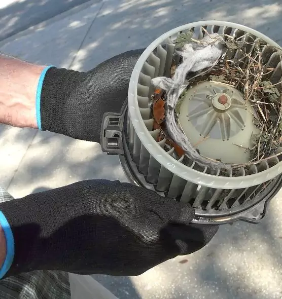 About Air Duct Rat Removal in Snellville, GA