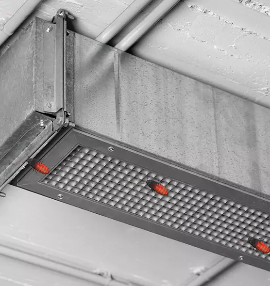 Affordable Insect Removal from Air Ducts in Snellville, GA